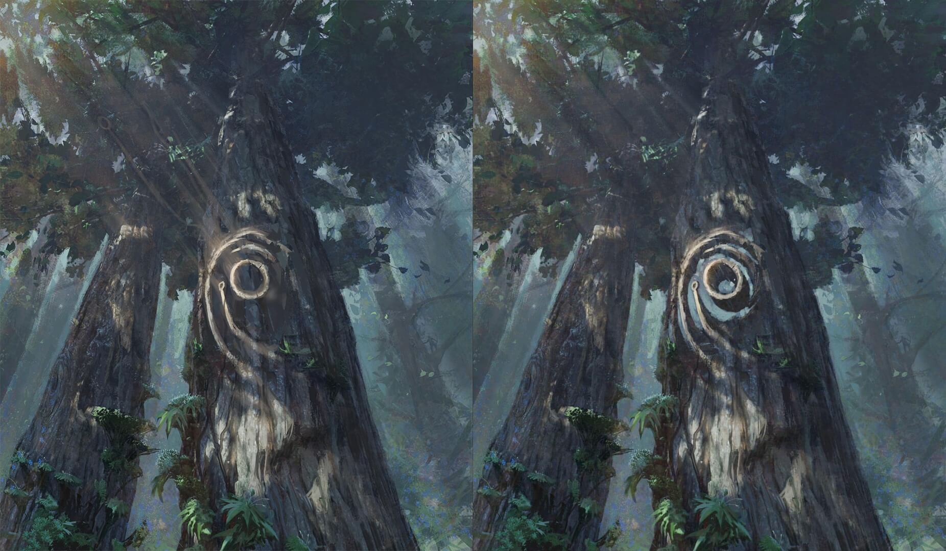 Before and after effect of tree in the Bandlewoods